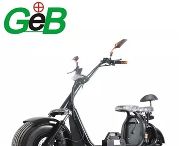 Izmaksu struktūras analīze E - velosipēdu bateriju