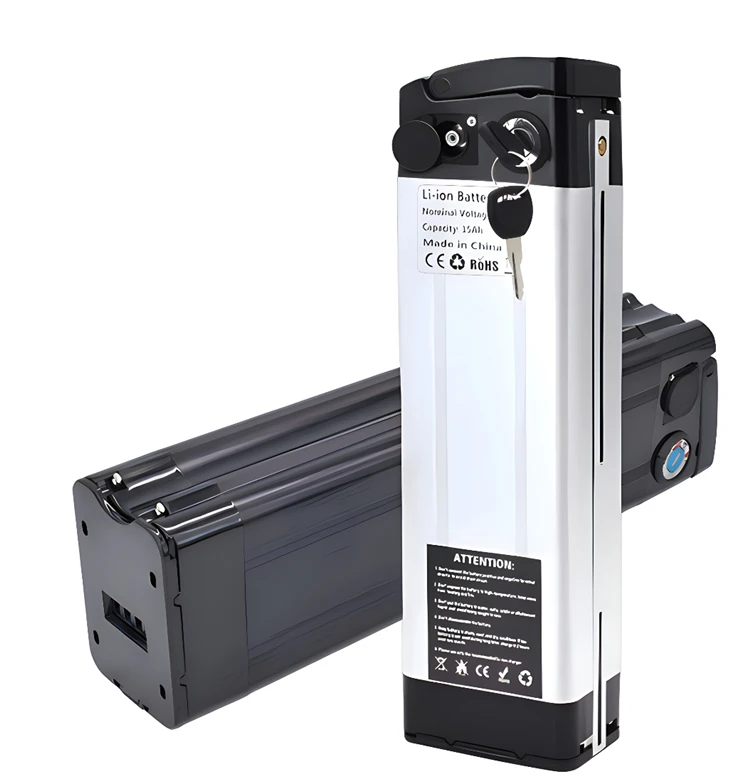 Silverfish 48v akumulators