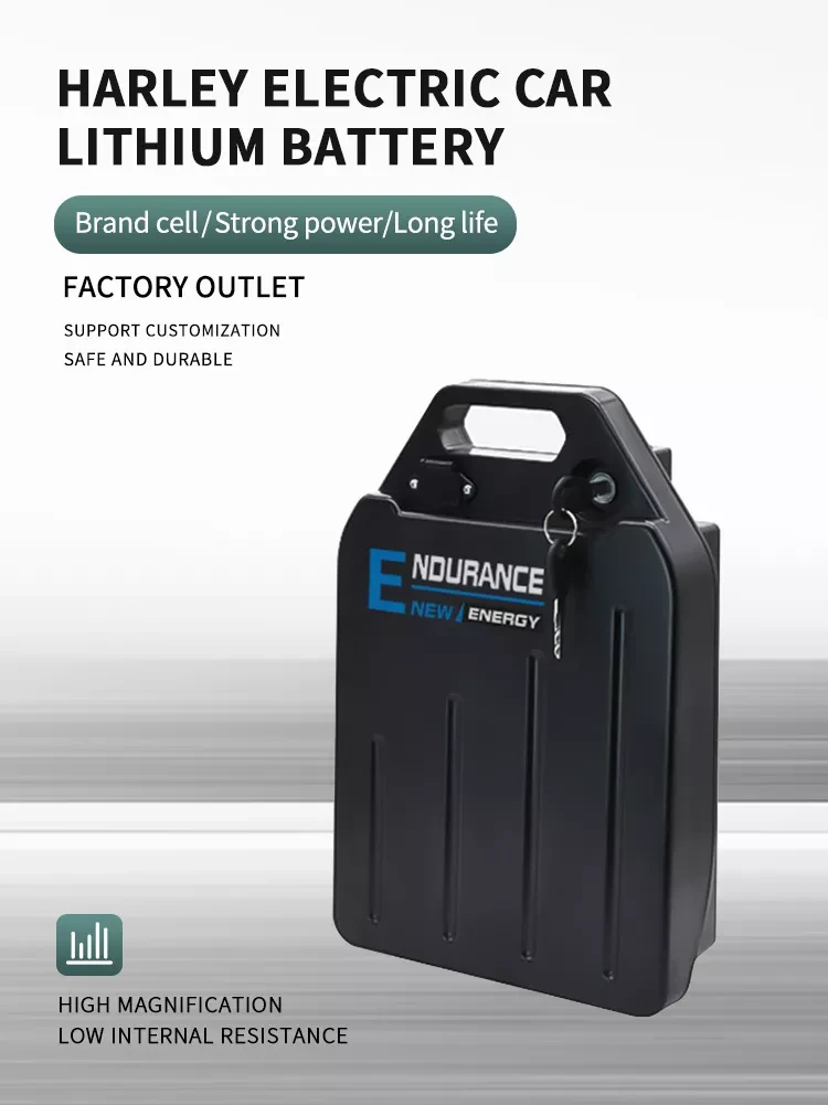 Lithium Battery For Scooter